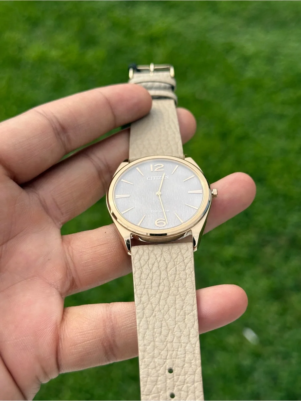 Citizen Men's Taupe Dial thinnest Watch with Gold-Tone eco drive leather watch